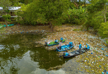 Más de 48,000 libras de desechos han sido retiradas del lago Suchitlán