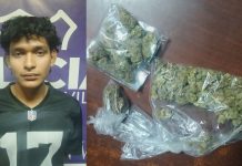 Capturan a joven con porciones de marihuana durante patrullaje en Verapaz