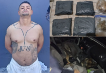Sujeto vinculado a la MS-13 capturado con ocho kilos de cocaína