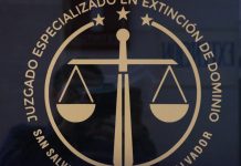 Vehículo pasa a favor del Estado tras ser vinculado a tráfico de drogas en Usulután