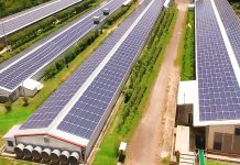 Grupo Campestre proyecta invertir $82.8 millones en infraestructura agroindustrial en San Miguel