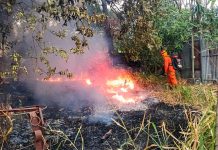 Reportan reducción de 41% en incendios durante vacaciones Foto: Cortesía.