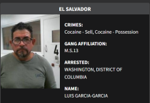 ICE detiene en Washington D.C. a presunto integrante de la MS-13 vinculado al narcotráfico Foto: Cortesía.