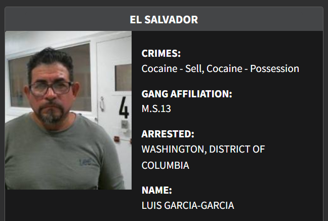 Foto: Cortesía. Foto: Cortesía.