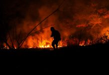 Incendios en maleza seca continúan como los más frecuentes durante Semana Santa