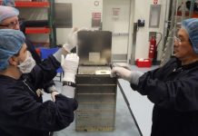 Microsatélite argentino formará parte de misión Artemis II hacia la Luna