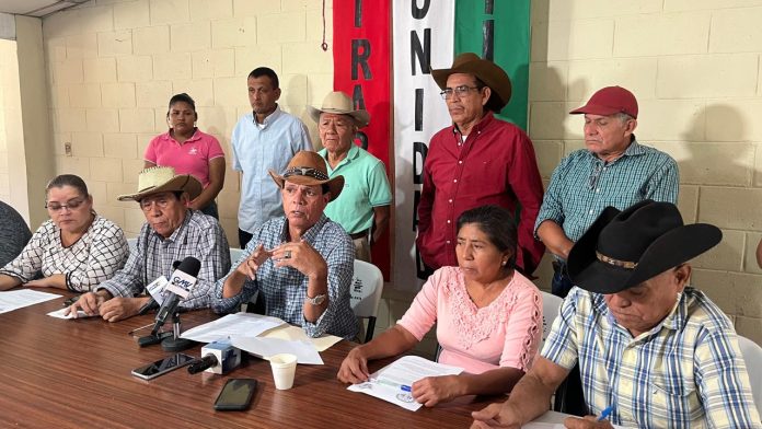 Foto: Cortesía. Foto: Cortesía.