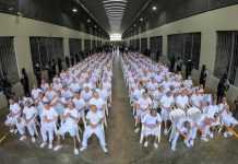 Cuatro testigos han reconocido a 14 de los 22 ranfleros históricos de la MS en comisión de varios delitos Foto: Cortesía.