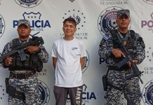 Detienen a sujeto con marihuana en macetas en Ilopango Foto: Cortesía.