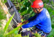 Alcaldía de San Salvador Centro ha desplegado un plan de mitigación en zonas de alta vulnerabilidad Foto: Cortesía.