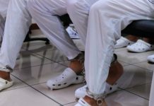 Estructura criminal financiada desde el extranjero es sentenciada hasta con 204 años de prisión Foto: Cortesía.