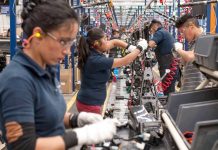 Más de 1.3 millones de mujeres dinamizan la economía de El Salvador y lideran sectores clave de la producción Foto: Cortesía.