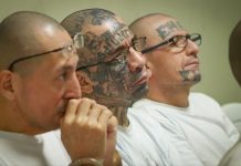 Audios vinculan a estructura de la MS-13 con coordinación de delitos en juicio contra 486 imputados
