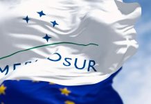 Entra en vigor provisionalmente el acuerdo UE-Mercosur