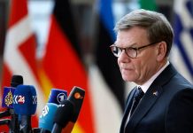 Alemania insta a Rusia a aceptar el alto al fuego de Ucrania