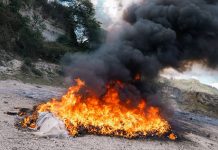 Destruyen más de 85 kilos de droga valorados en más de $333 mil