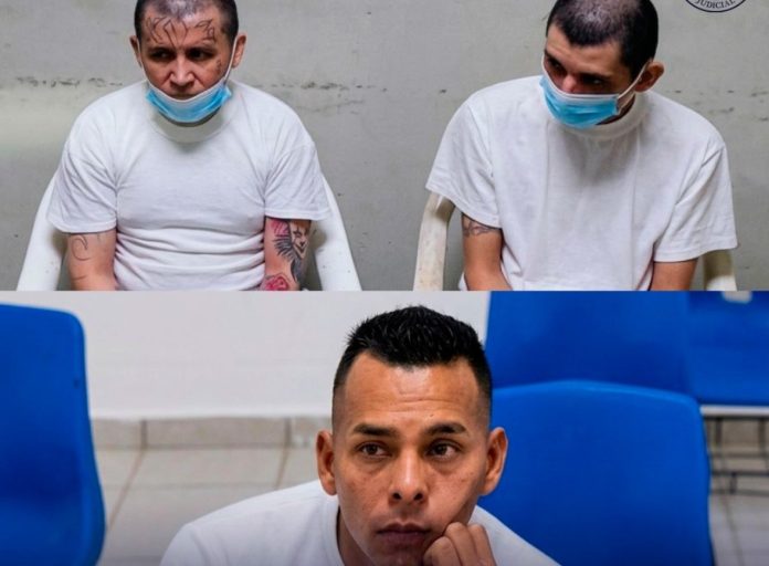Foto: Cortesía.