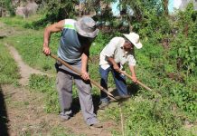 Ante escasez de lluvias, agricultores de Usulután dependen de sistemas de riego para salvar sus cultivos Foto: Cortesía.