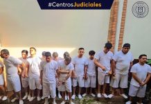 Miembro de barra futbolística fue condenado por desórdenes públicos en San Juan Opico La condena se une a las doce previamente confirmadas. Foto cortesía: Centros Judiciales.