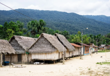 Narcotráfico y extracción ilegal de oro expanden corrupción y contaminación en la Amazonía; ¿Qué países enfrentan mayor impacto, según informe?