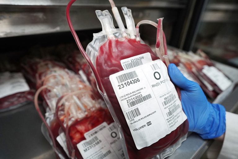 Día Mundial del Donante de Sangre: requisitos, mitos y realidades sobre la donación que puede salvar hasta tres vidas