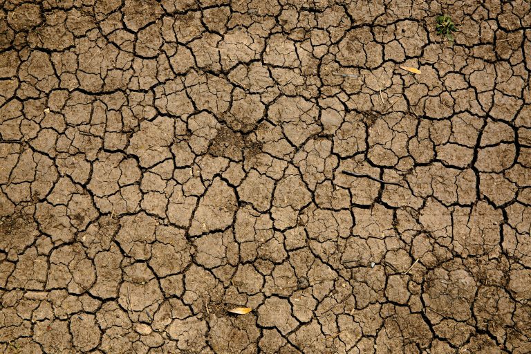 MARN reporta inicio de sequía meteorológica débil en varias zonas del país por efectos de la canícula