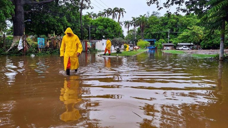 Protección Civil reporta 74 árboles caídos y 111 viviendas anegadas