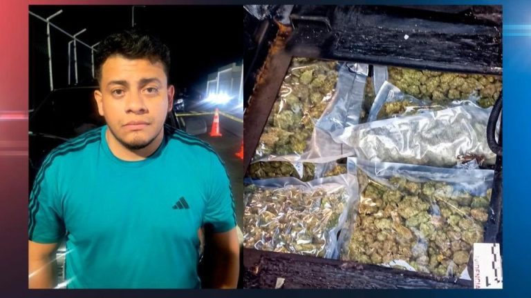 Capturan a hombre que intentó ocultar paquetes con marihuana en vehículo durante inspección aduanera