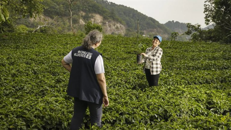 Autonomía económica femenina en El Salvador depende de financiamiento, formación y acceso a mercados, según ONU Mujeres