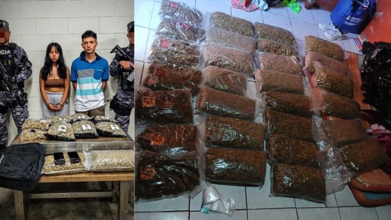 Incautan más marihuana tras denuncias sobre vivienda de dos capturados por narcotráfico
