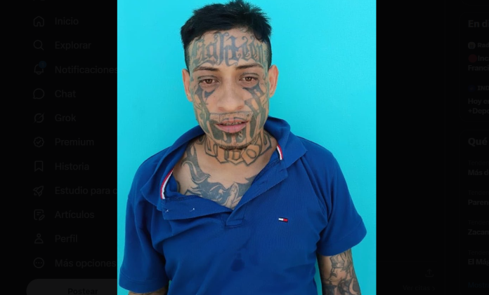 Foto: Cortesía.