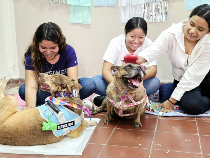 El programa PAWS & PAUSE UES ofrece interacción asistida con caninos, ejercicios de respiración y actividades de relajación durante la semana de evaluaciones. La iniciativa es impulsada por el Departamento de Medicina Veterinaria con apoyo de la Unidad de Psicología del Departamento de Desarrollo Rural. Foto: Cortesía/UES.
